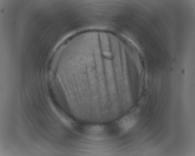 X0000081320156200702020008