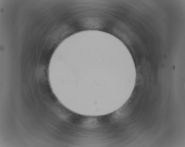 X0000081320162200702020008
