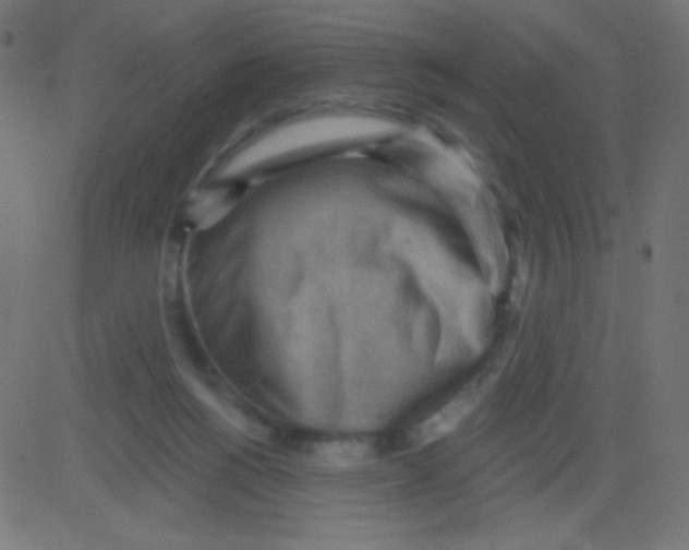X0000081320168200702020008