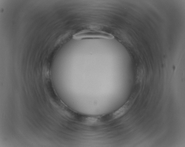 X0000081320176200702020008