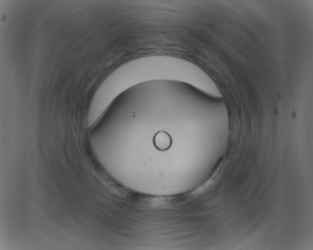 X0000081320184200702020008