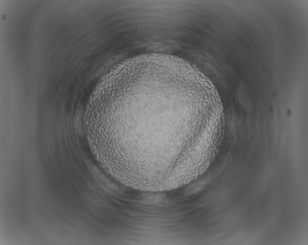 X0000081320185200702020008