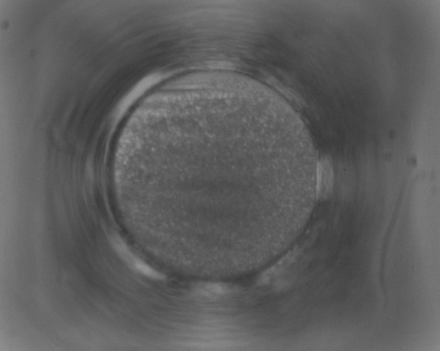 X0000081320195200702020008