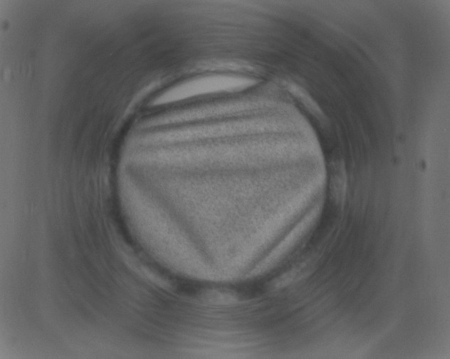 X0000081320207200702020007