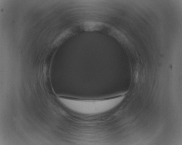 X0000081320219200702020007