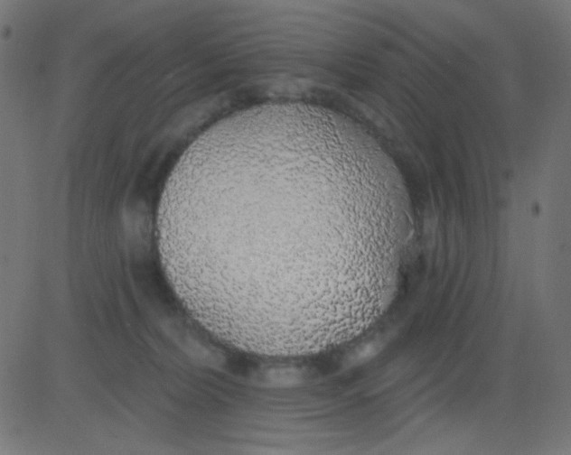X0000081320228200702020007