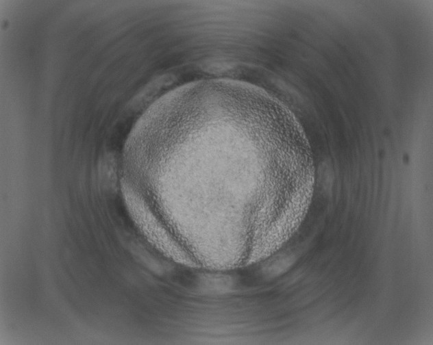 X0000081320234200702020007