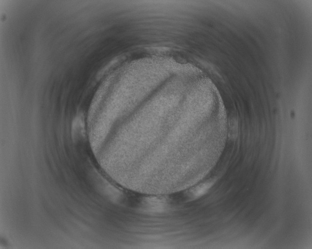 X0000081320238200702020007