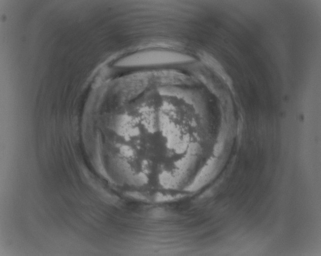 X0000081320249200702020006