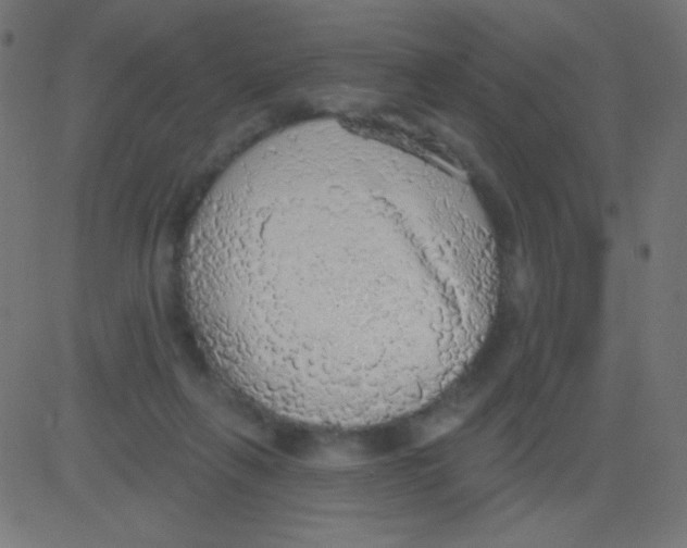 X0000081320263200702020007
