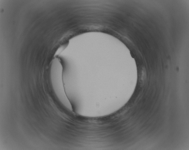 X0000081320264200702020007