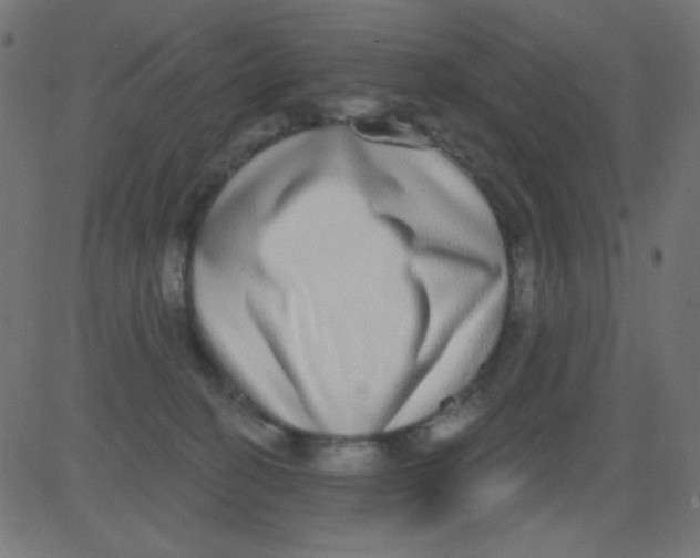 X0000081320274200702020007