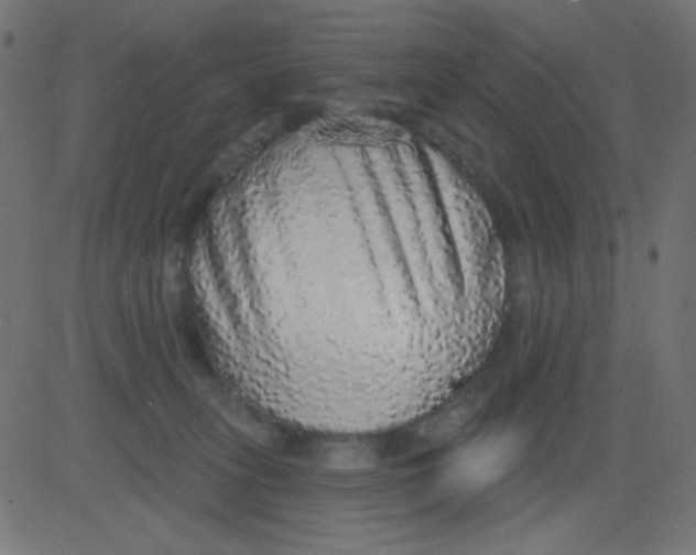 X0000081320275200702020007