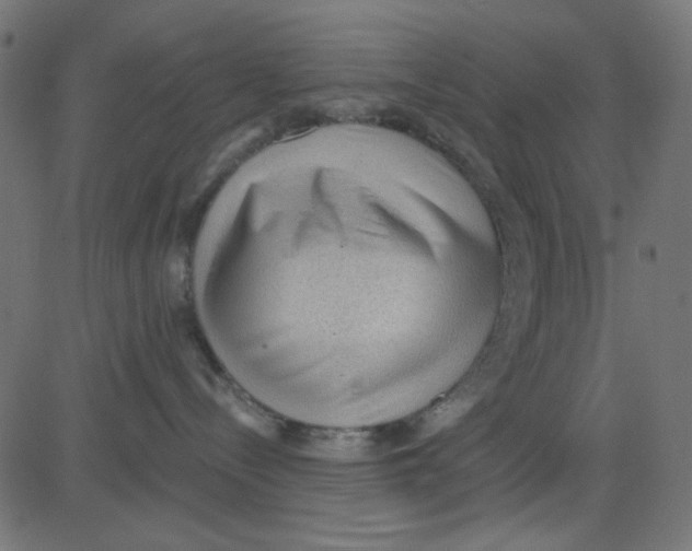 X0000081320288200702020007