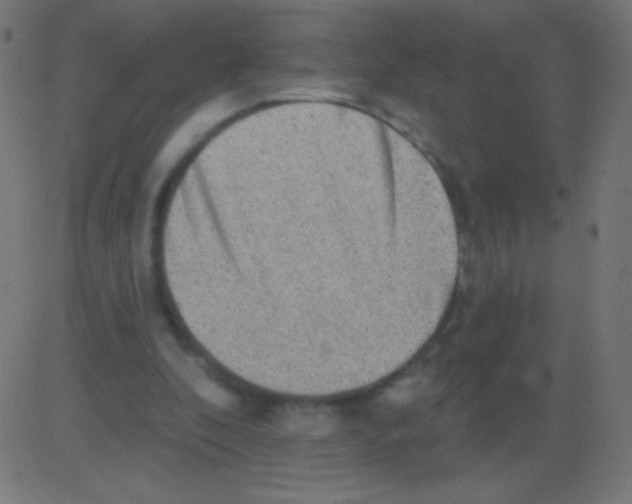 X0000081320296200702020006