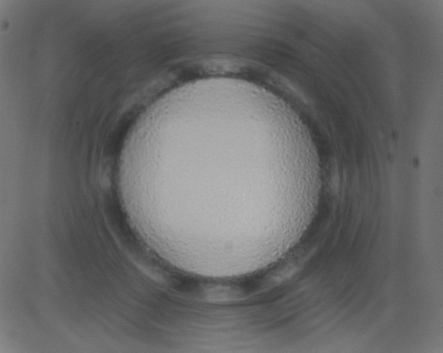 X0000081320315200702020006