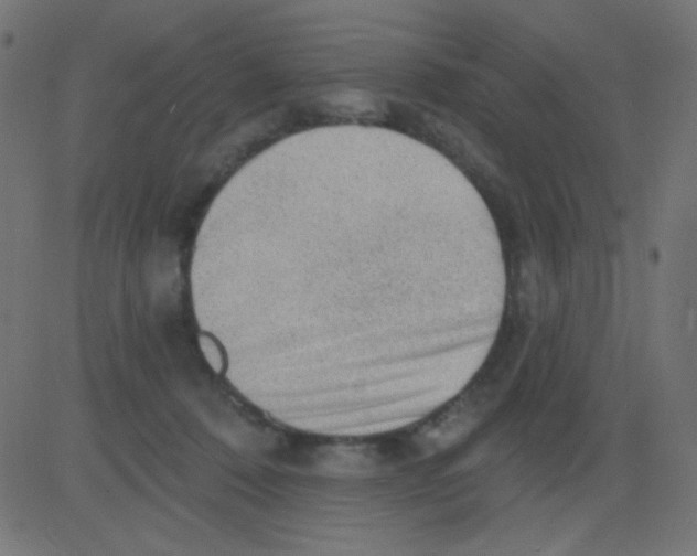 X0000081320320200702020006