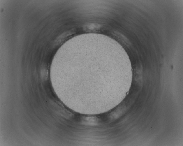 X0000081320324200702020006