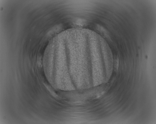 X0000081320331200702020005
