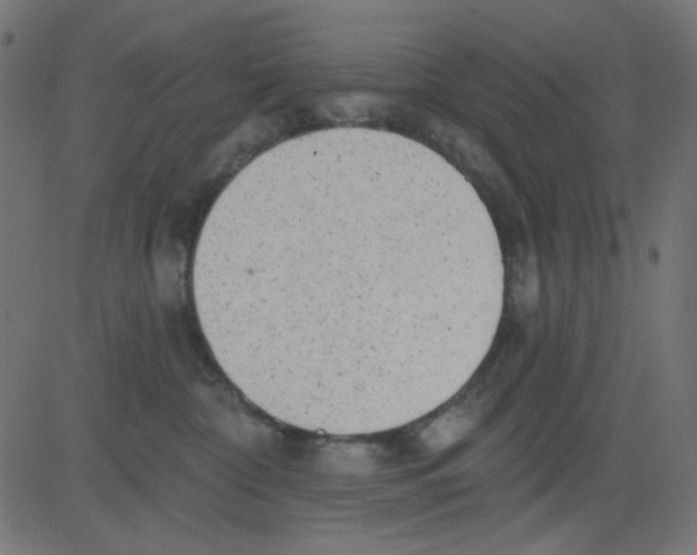 X0000081320332200702020005