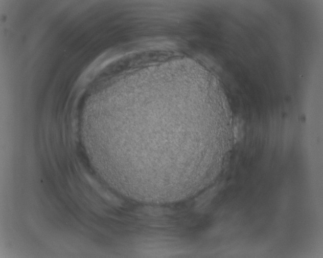 X0000081320339200702020005