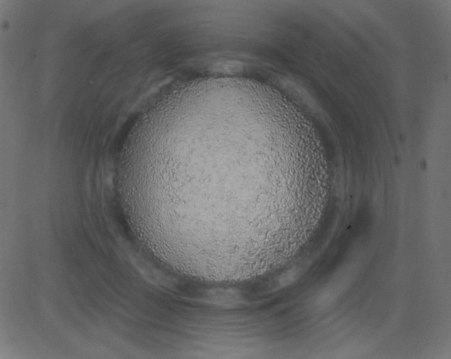 X0000081320363200702020005