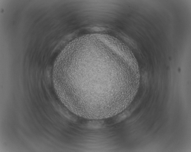 X0000081320373200702020005