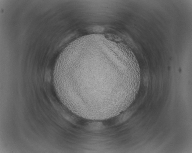 X0000081320374200702020005