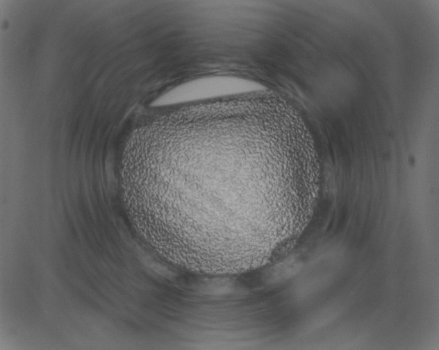 X0000081320377200702020005