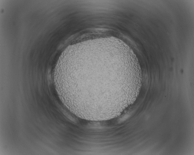 X0000081320381200702020005