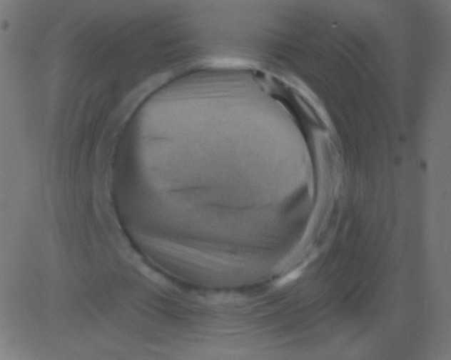 X0000081320385200702020005