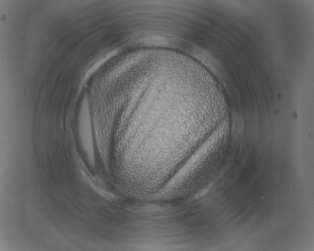 X0000081320390200702020004