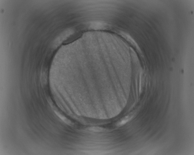 X0000081320393200702020004
