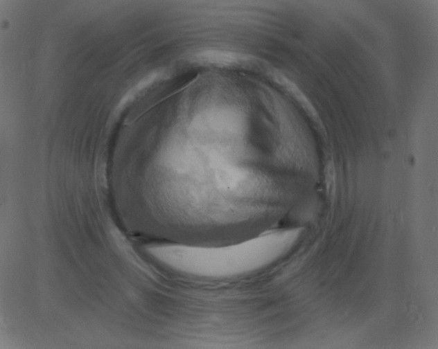 X0000081320399200702020004