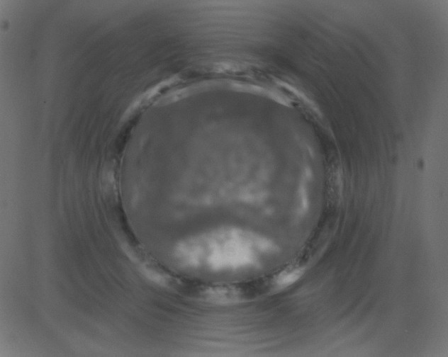 X0000081320415200702020004