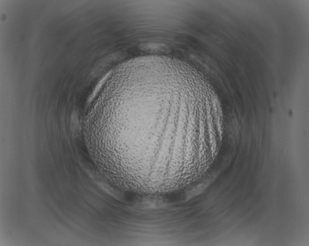 X0000081320420200702020004