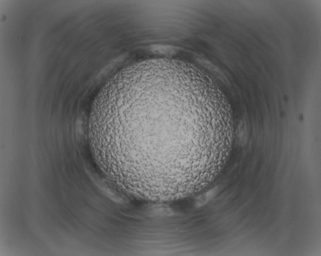 X0000081320424200702020004