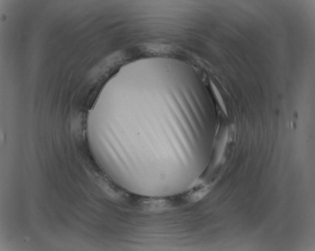X0000081320428200702020004