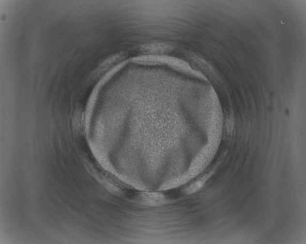 X0000081320429200702020004