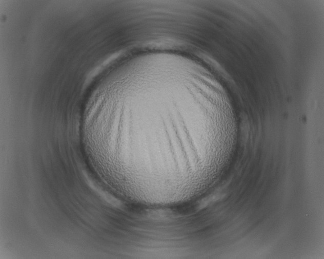X0000081320446200702020003