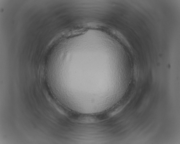 X0000081320449200702020003