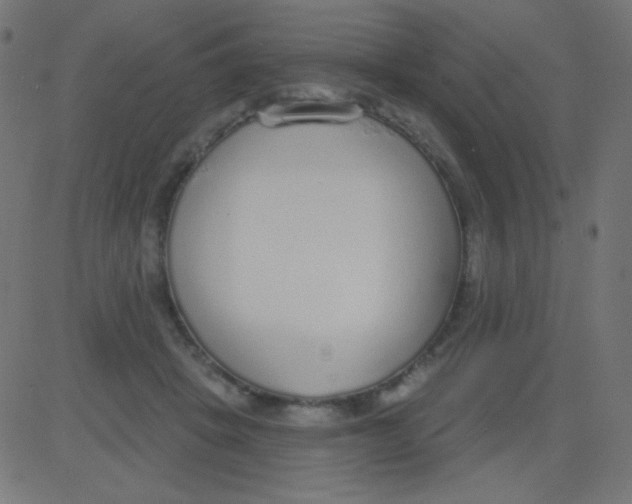 X0000081320457200702020003