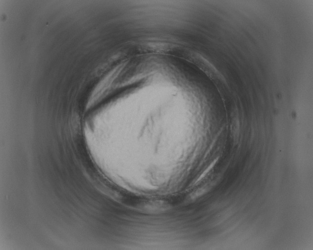X0000081320459200702020003