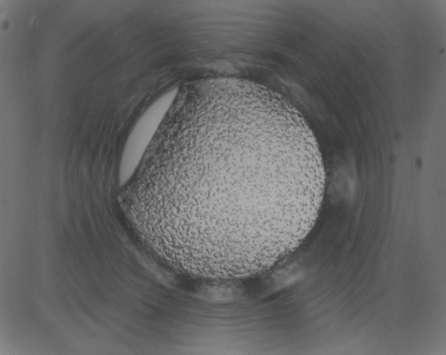 X0000081320466200702020004