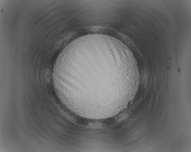 X0000081320470200702020004