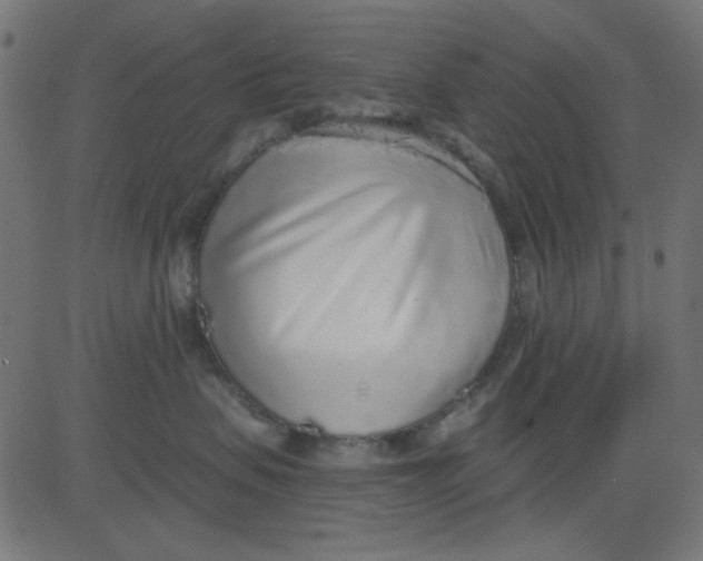 X0000081320479200702020004