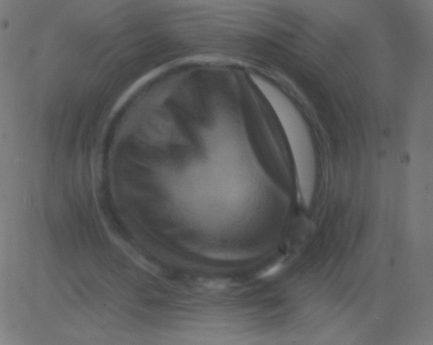 X0000081320484200702020003