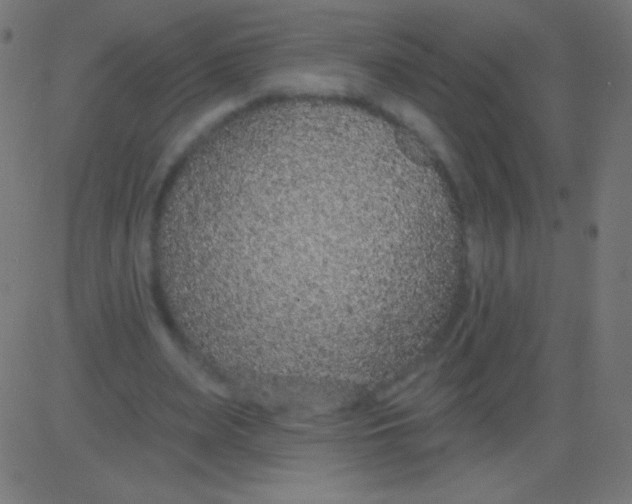X0000081320487200702020003