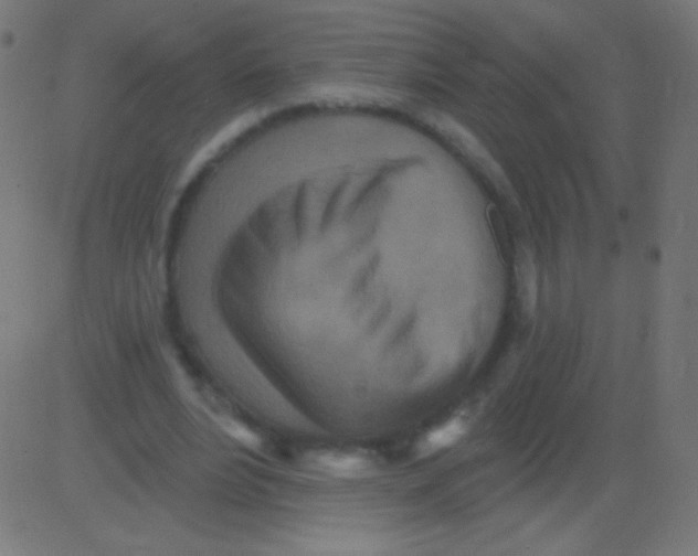 X0000081320488200702020003