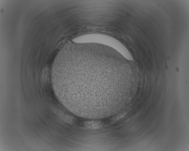 X0000081320511200702020003